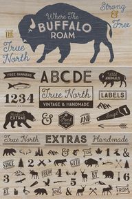 True North - America