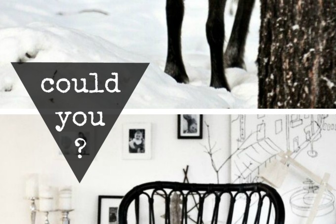 reindeer-rug-decorating-trend1