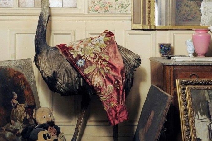 taxidermy in Paris apartment of Madame de Florian