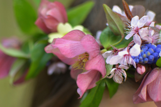 how-to-make-a-spring-flower-crown-step-by-step-at-decorators-notebook