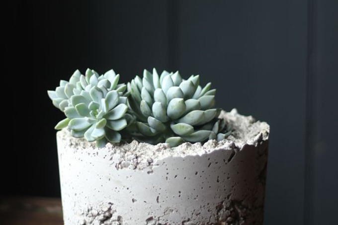 DIY concrete planter Growing Spaces blog