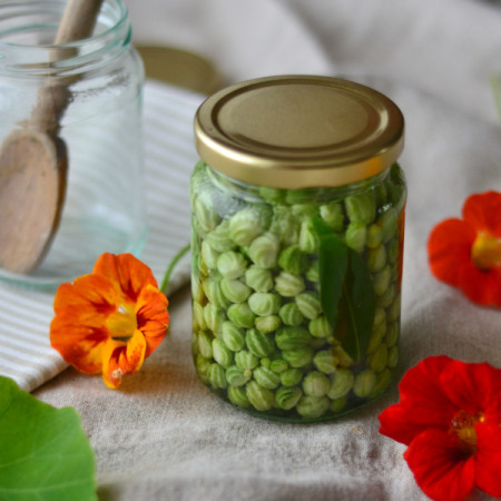 Pickled nasturtium seeds recipe poor mans capers Decorator's Notebook blog 9