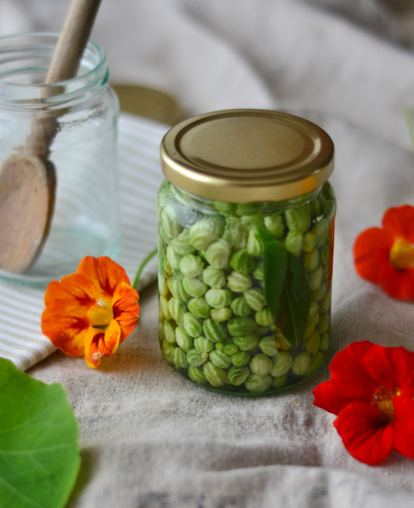 Pickled nasturtium seeds recipe poor mans capers Decorator's Notebook blog 9