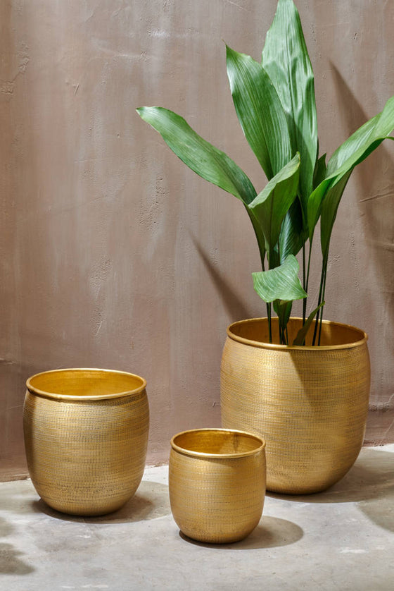 Etched Brass Planter: choice of three sizes