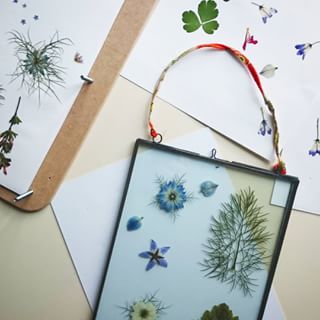  Ooh, my pressed flowers are ready and looking pretty... I'm restyling a couple of our double sided frames to show how lovely they look at @thefromeindependent tomorrow. 