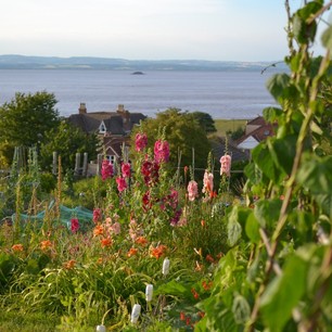  On my evening wanderings around Portishead I stumbled across what must be amongst the most beautiful allotments in the country. It is my dream to one day have a plot like this... 