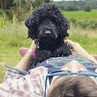  Some great memories of our @goodlifeexperience last weekend with this little fella! 